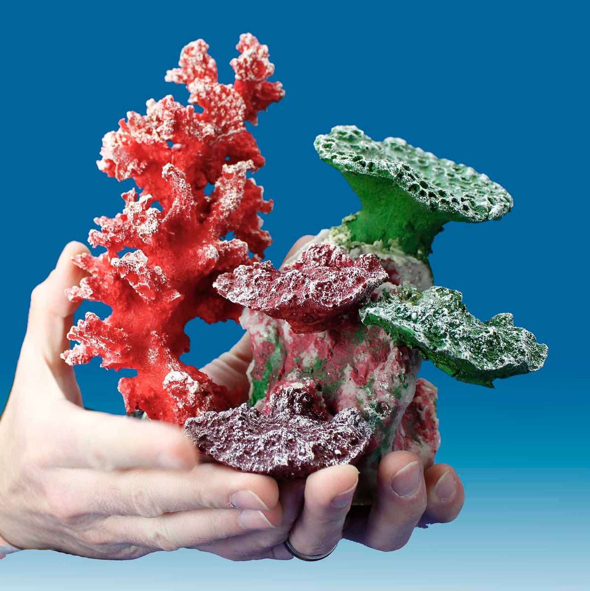 DM051 Fake Coral