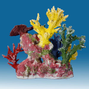 DM055 Small Reef