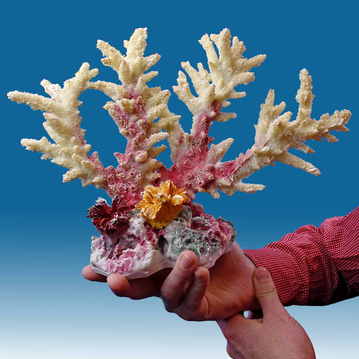 WT016 White Coral Aquarium Decor for Marine Tanks