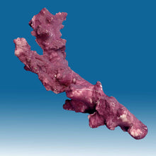 Load image into Gallery viewer, Z003 Artificial Live Rock with Purple Coralline Algae