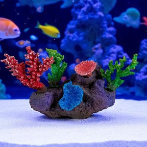 3G-DM036 Small Reef