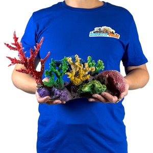 3G-DM056 Small Reef