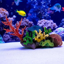 Load image into Gallery viewer, 3G-DM056 Small Reef