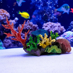 3G-DM056 Small Reef