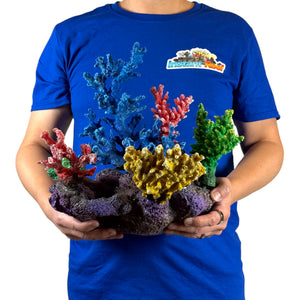 3G-DM058 Small Reef