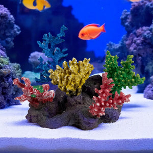 3G-DM058 Small Reef