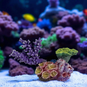 3G-PNP0009 Artificial Coral Reef Decor