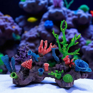 Fish-Safe Coral Decorations: Stunning, Safe, and Eco-Friendly Choices