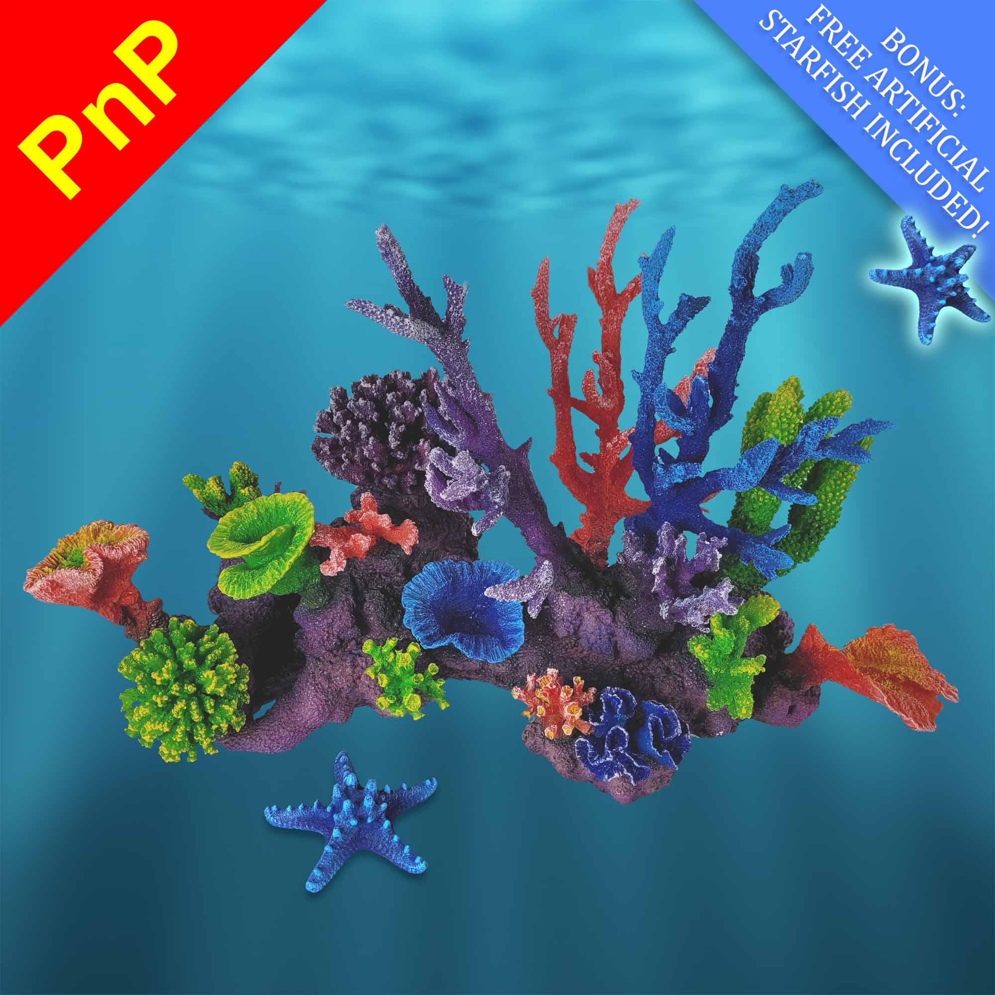 Reef Models Gallery