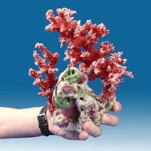 Load image into Gallery viewer, AC014 Artificial Coral