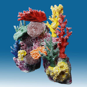 DM048PNP Medium Plug n Play