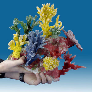 DM055 Small Reef