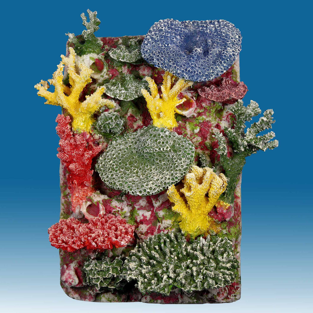 Aquarium Background 3D Foam for Fish Terrarium Reptiles / Free shipping –  MK Aquarium Store
