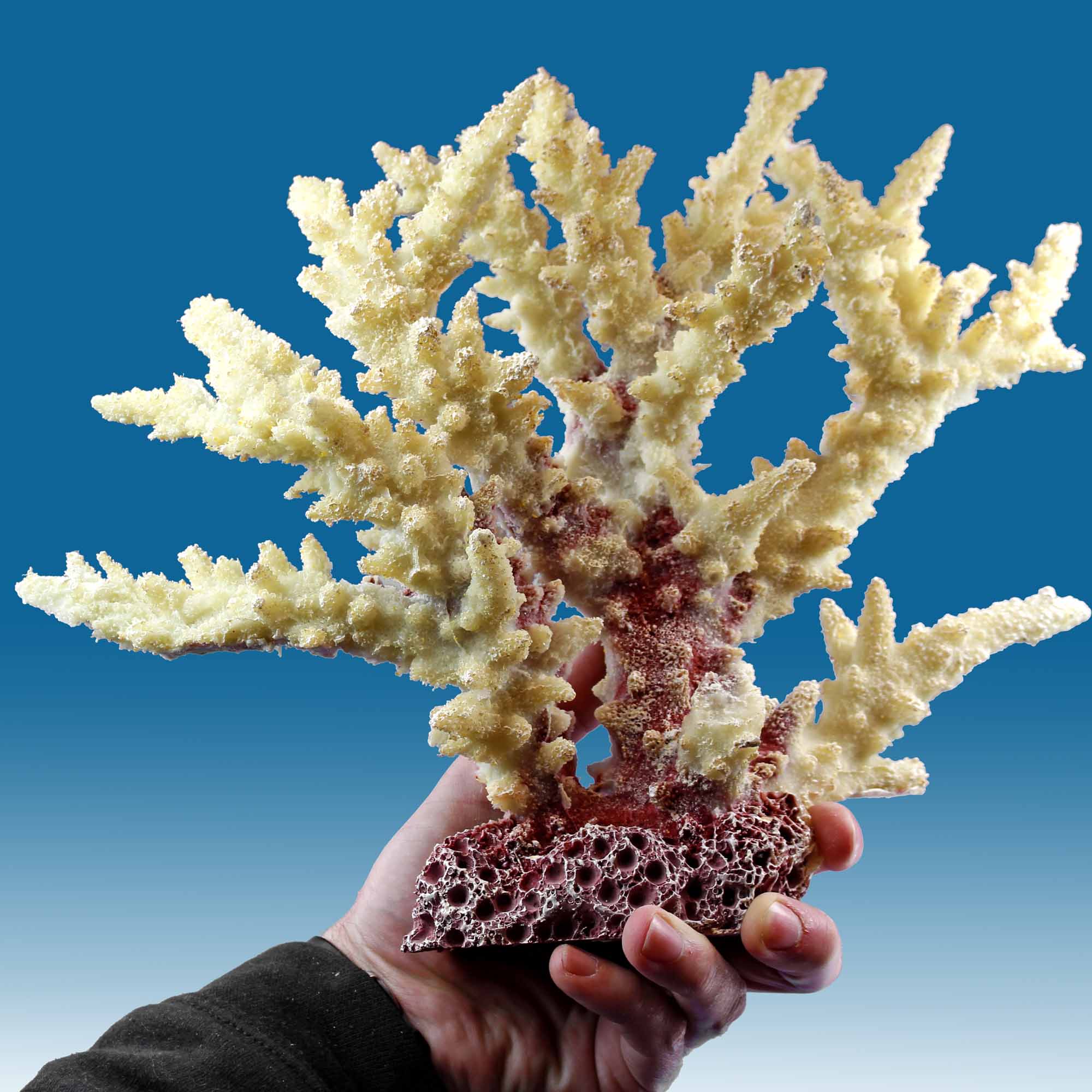 Natural White Coral Cluster Crystal Aquarium Landscaping Ornaments