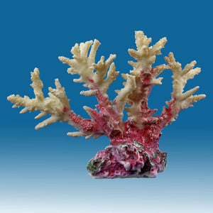 WT016 White Coral