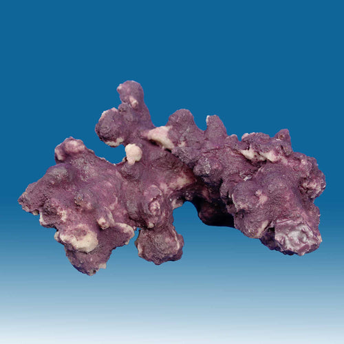 Z002 Artificial Live Rock with Purple Coralline Algae