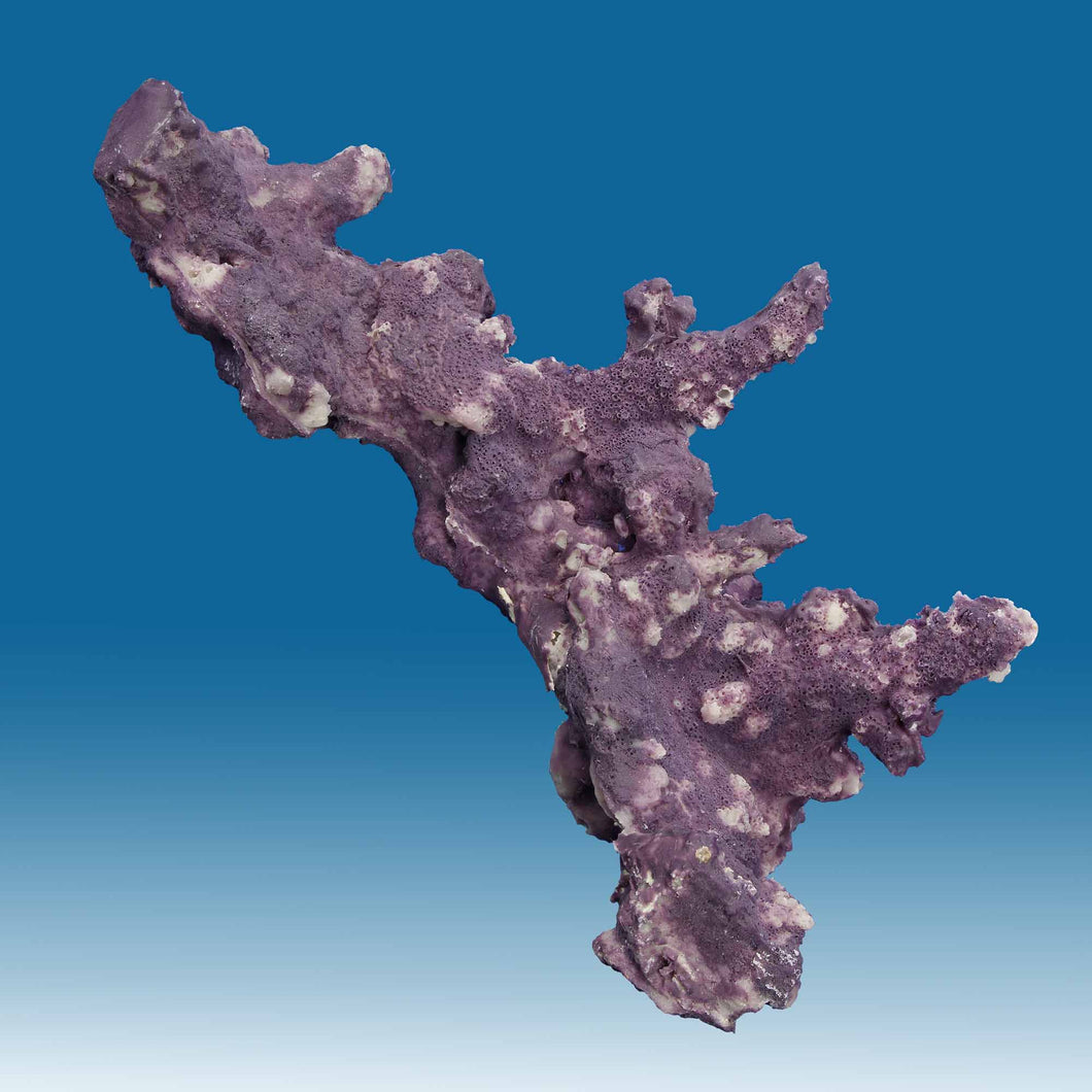 Z005 Artificial Live Rock with Purple Coralline Algae